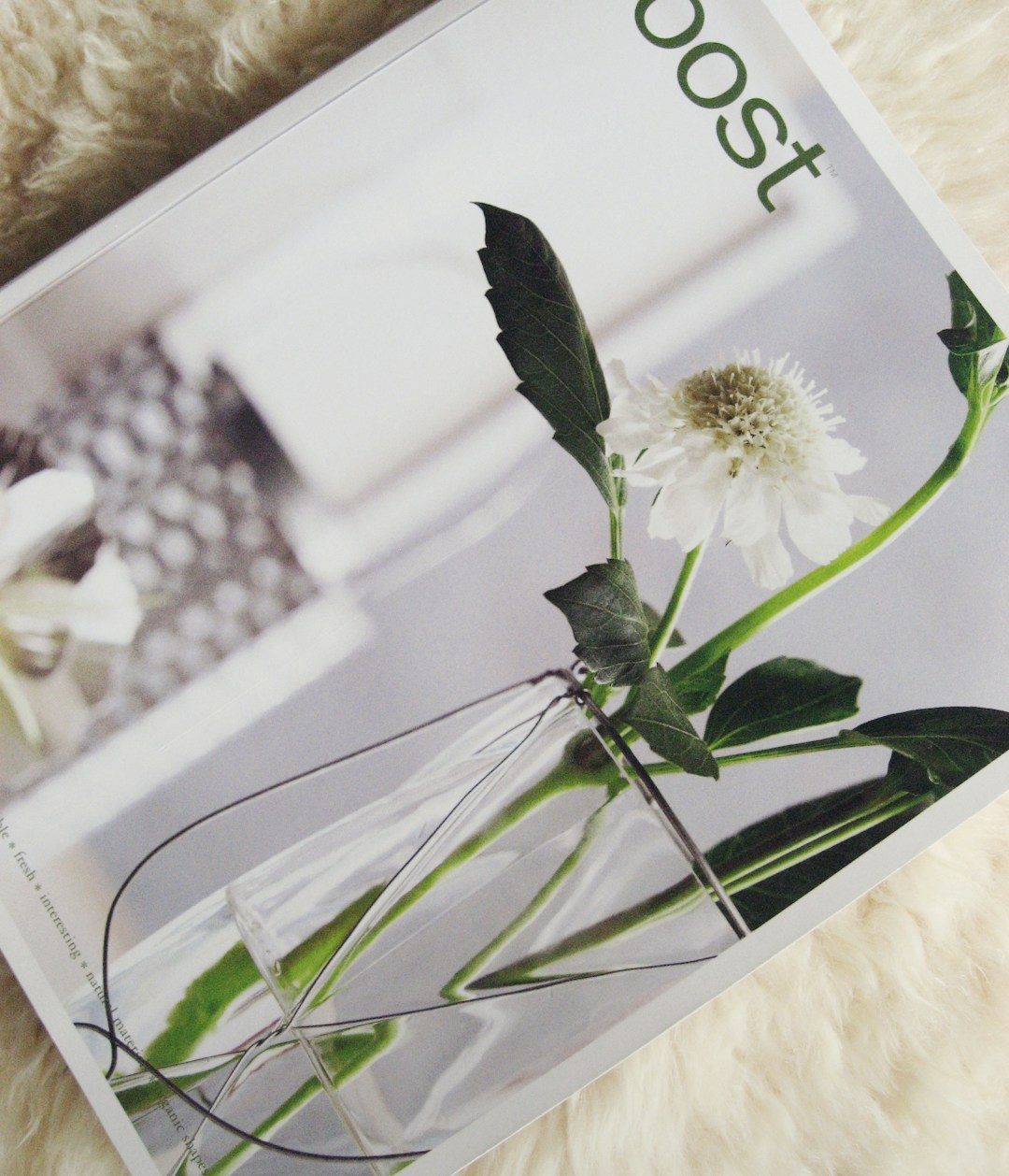 A design magazine with a single flower